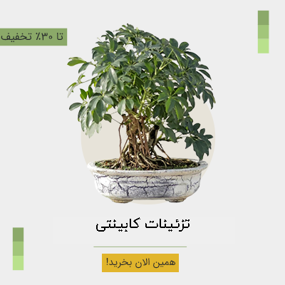 تنوعی در فضای گلخانه با بونسای